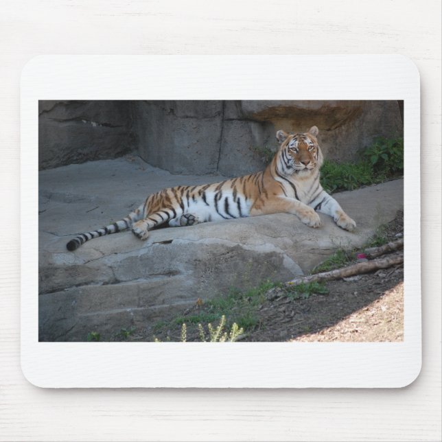 Bengal Tiger Mouse Mat (Front)