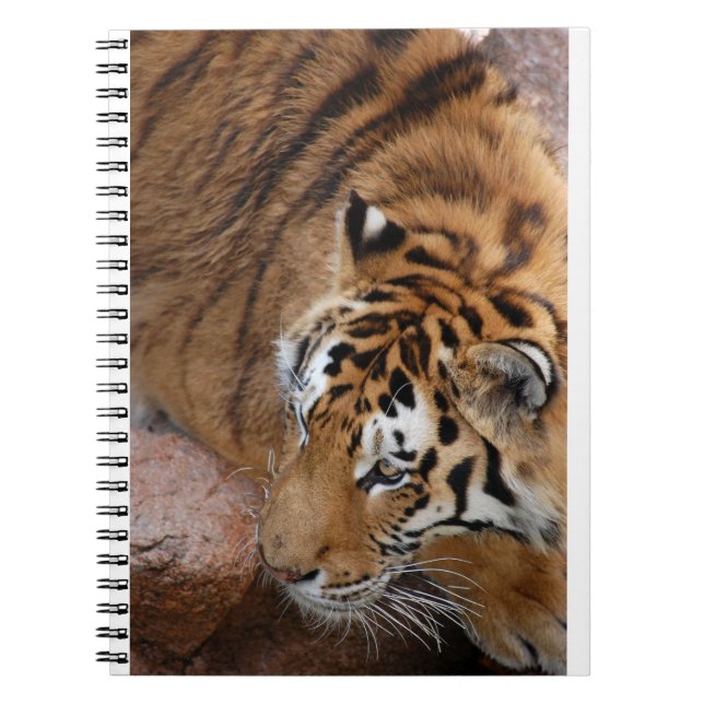 Bengal Tiger Notebook (Front)