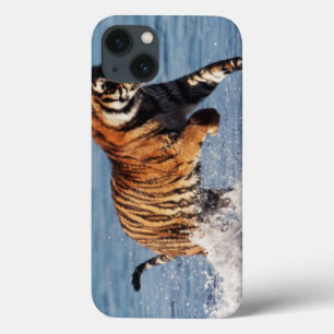 Bengal Tiger (Panthera Tigris) iPhone 13 Case