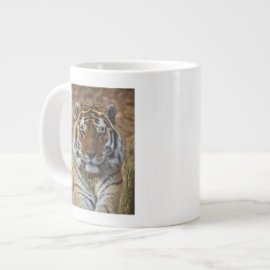Bengal Tiger, Panthera tigris, Louisville Zoo, Large Coffee Mug