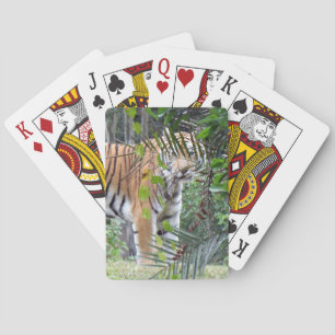 Bengal Tiger - Playing Cards