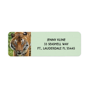 BENGAL TIGER Return Address LabelS