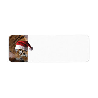 Bengal Tiger Santa Claus