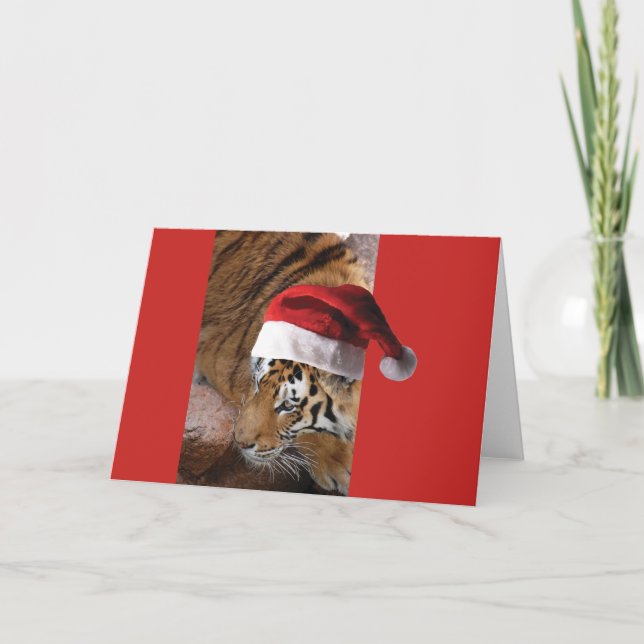 Bengal Tiger Santa Claus Card (Front)
