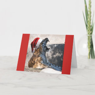 Bengal Tiger Santa Claus Holiday Card