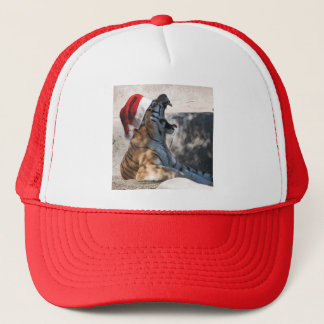 Bengal Tiger Santa Claus Trucker Hat