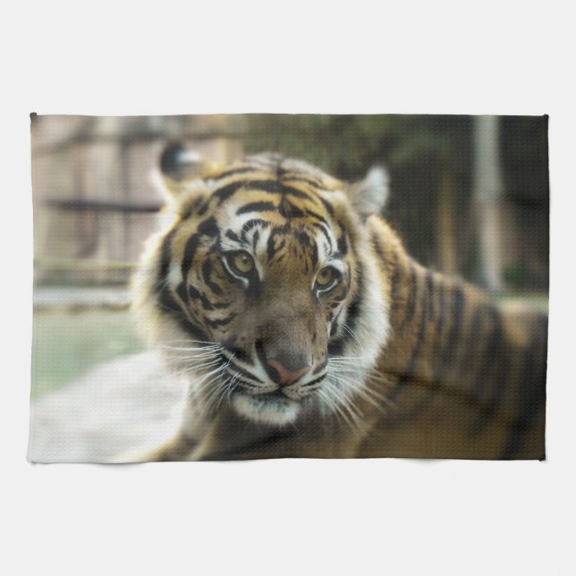 Bengal Tiger Tea Towel (Horizontal)