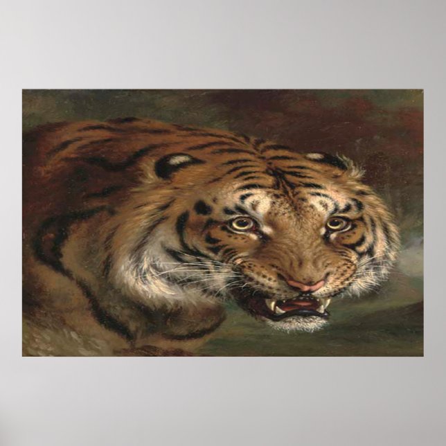 Bengal Tiger watching you poster (Front)