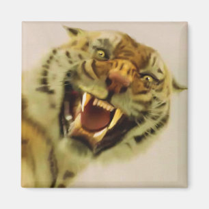 Bengal Tiger Wildlife Big Cat Lover Photo Magnet
