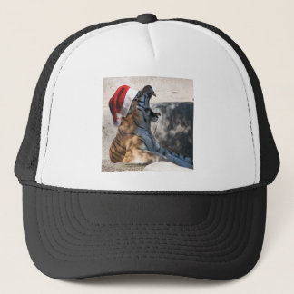 Bengal Tiger with a Santa Hat