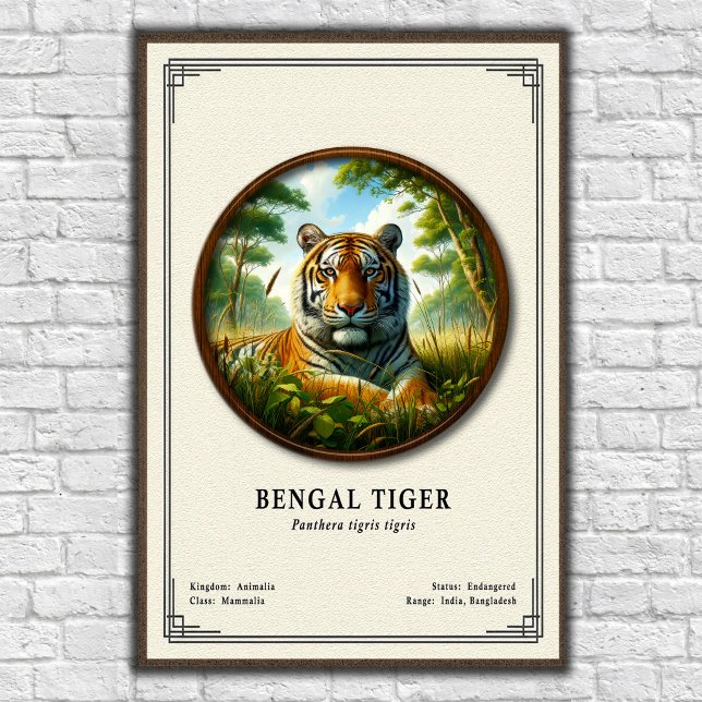 Bengal Tiger Zoology Series Poster (Creator Uploaded)