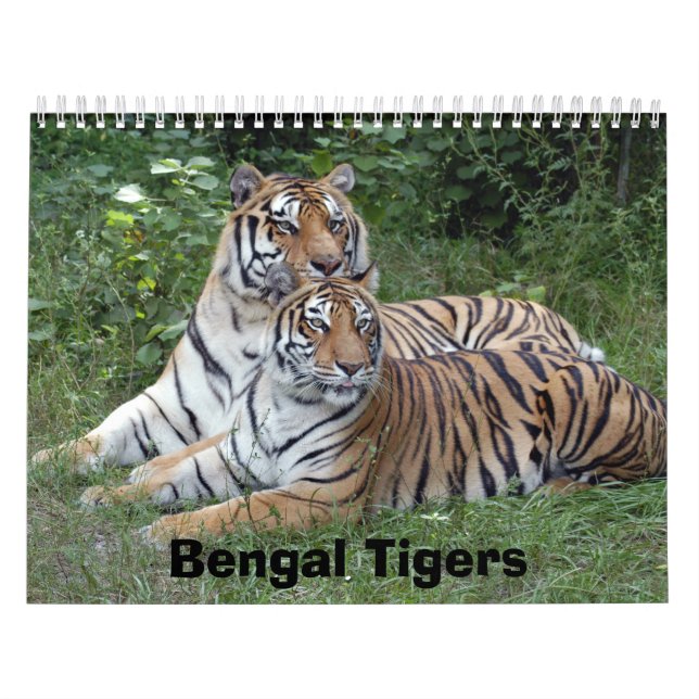 Bengal Tigers Calendar, Bengal Tigers Calendar (Cover)