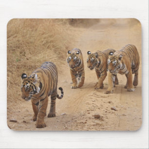 Bengal Tigers Mouse Mat