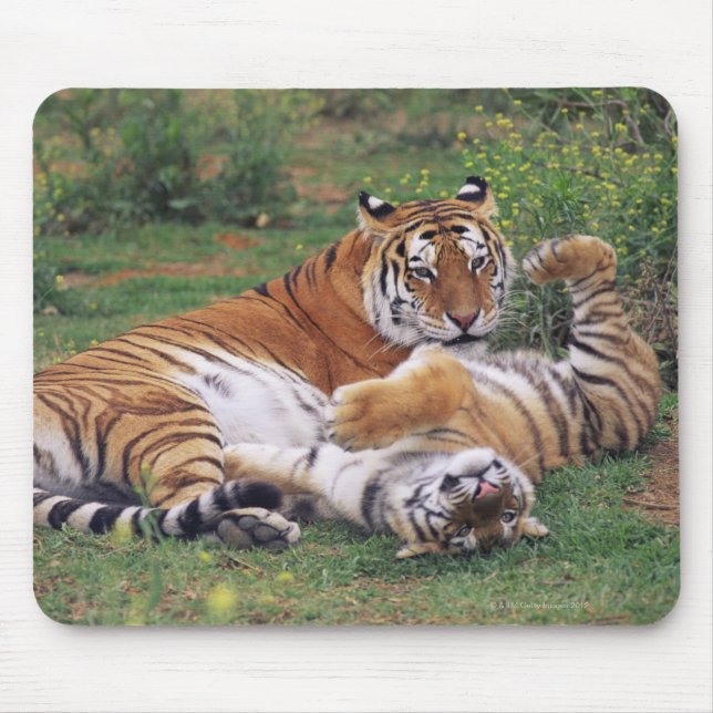 Bengal tigers playing mouse mat (Front)