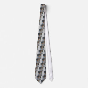 Bengal Tigers Tie