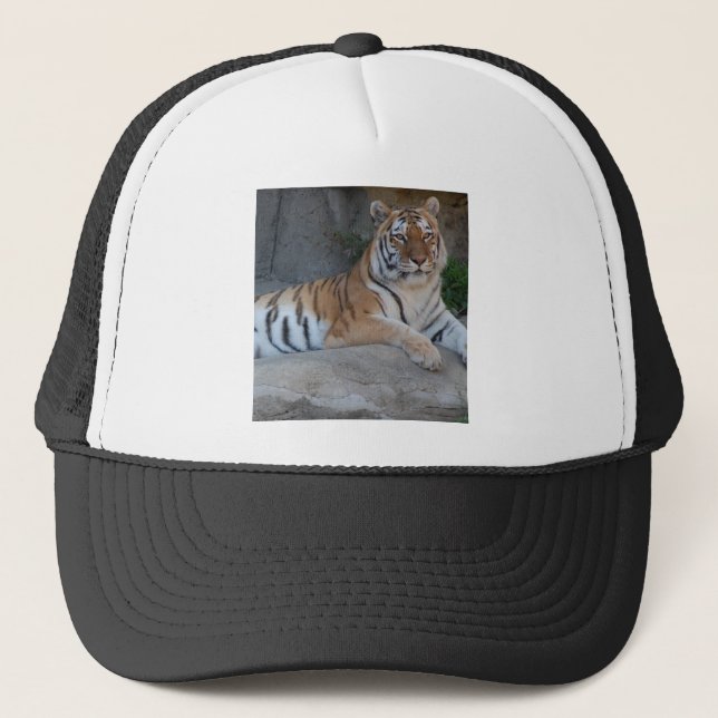 Bengal Tigers Trucker Hat (Front)
