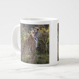 Bengal tigress in tall grass, trying to hunt, large coffee mug