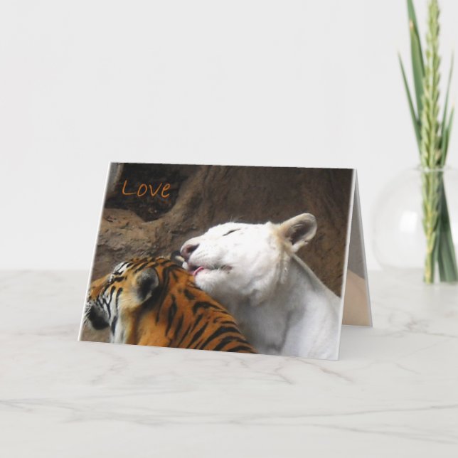 Bengal White Tiger Love Birthday Anniversary Any Card (Front)