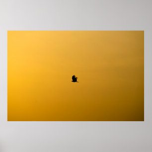 BENGALURU BIRDS POSTER