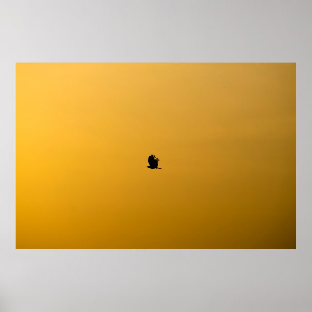 BENGALURU BIRDS POSTER (Front)