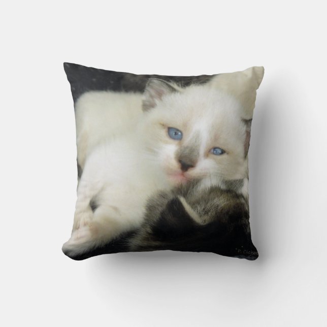 Benita the Kitten Cushion (Front)