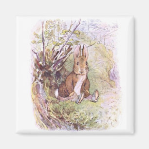 Benjamin Bunny (by Beatrix Potter) Magnet