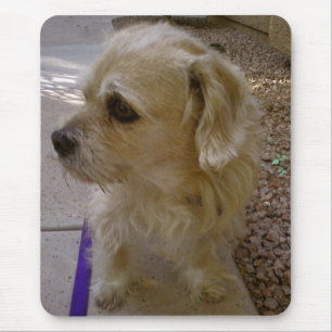 Benji Mouse Mat