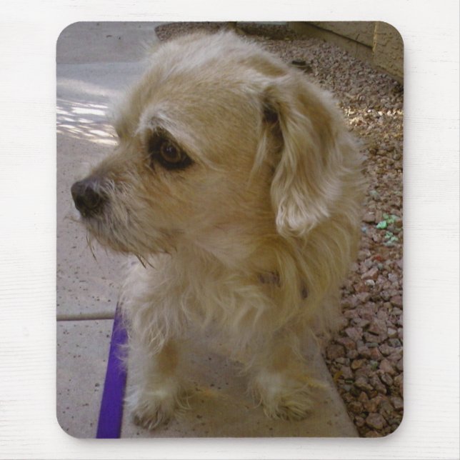 Benji Mouse Mat (Front)