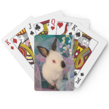 Benji's Bunny Poker Jam
