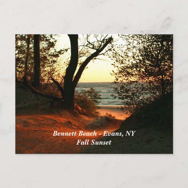 Bennett Beach - Evans, NY Postcard (Front)