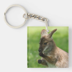 Bennett's Wallaby Key Ring