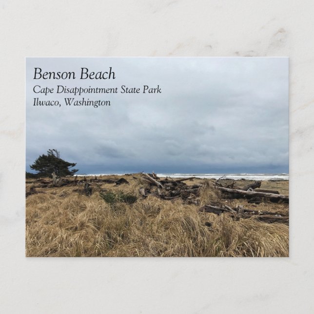 Benson Beach, Cape Disappointment, WA Postcard (Front)