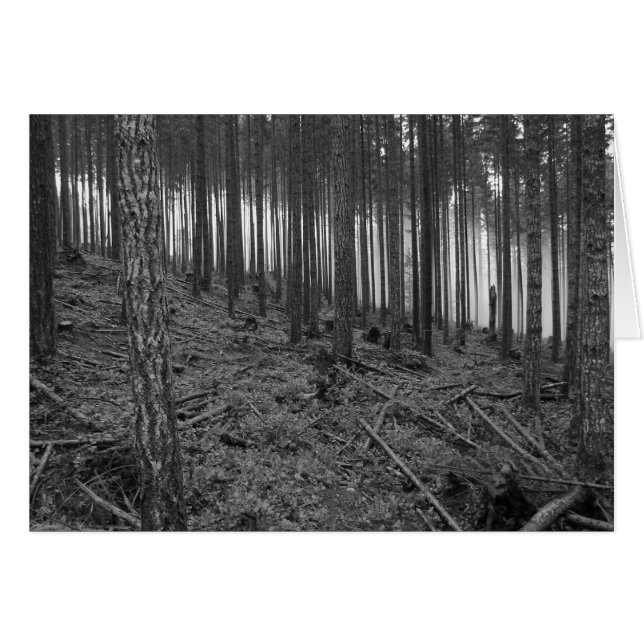 Benson Meadows (Front Horizontal)