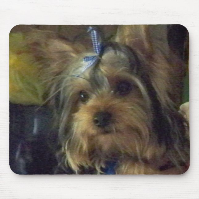 BENSON MOUSE MAT (Front)