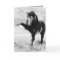 Benson Strikes Out Wild Horse Greeting Card