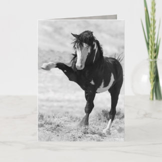 Benson Strikes Out Wild Horse Greeting Card