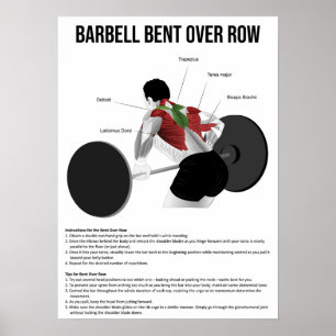 Bent Over Row - Exercise - Muscle Anatomy Chart