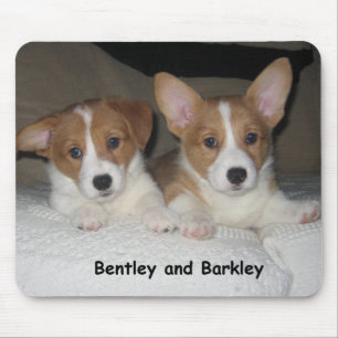 Bentley & Barkley Mouse Mat