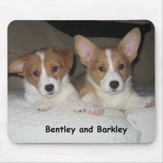 Bentley & Barkley Mouse Mat