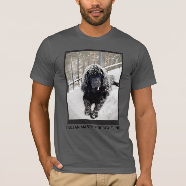 Bentley Grey T shirt (Front)
