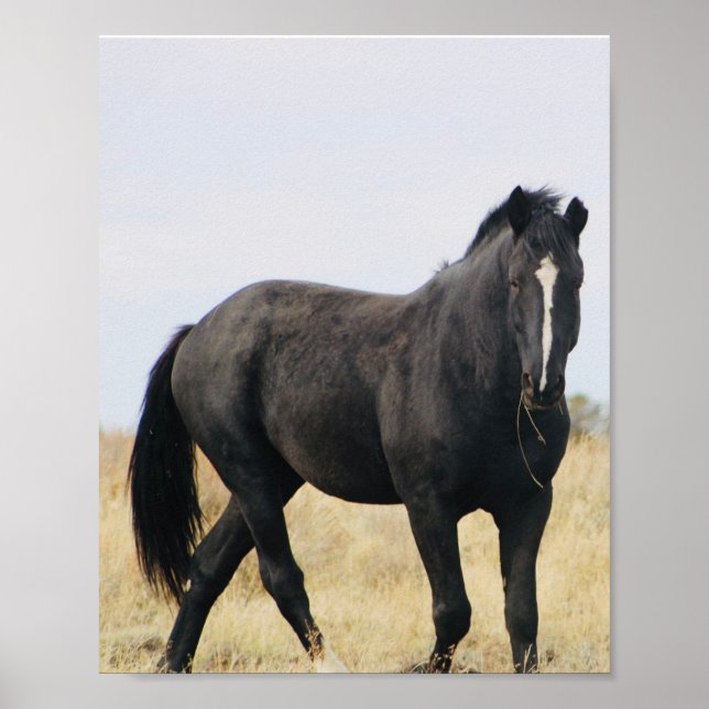 Bentley Poster (Front)