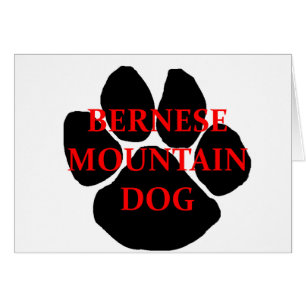 ber mt dog name  paw.png