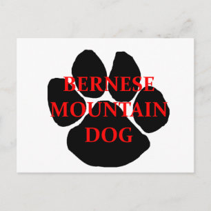 ber mt dog name paw.png postcard