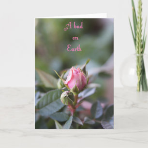 Bereavement card, rose bud card