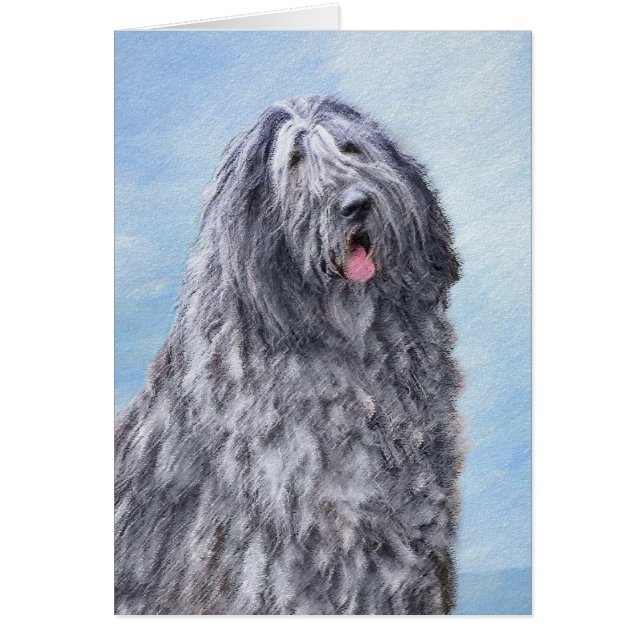 Bergamasco Sheepdog Painting - Cute Original Dog A (Front)