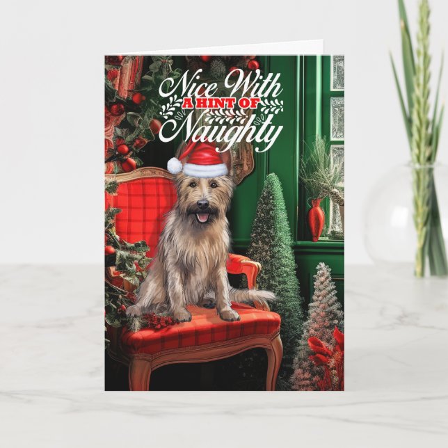 Berger Picard Christmas Dog Naughty or Nice Holiday Card (Front)