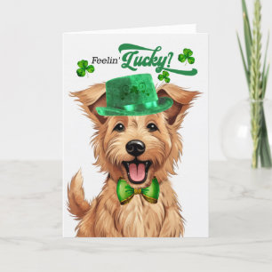 Berger Picard Dog Lucky St Patrick's Day Holiday Card