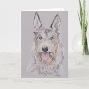 Berger Picard or Picardy Shepherd Dog Art Greeting Card