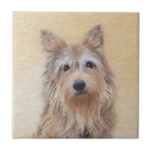Berger Picard Painting - Cute Original Dog Art Tile