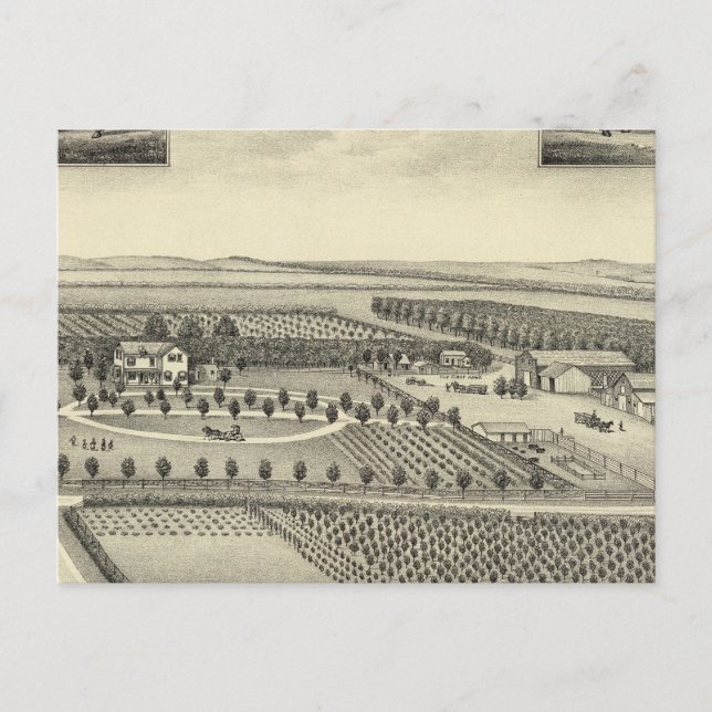 Berggren Farm, Nebraska Postcard (Front)